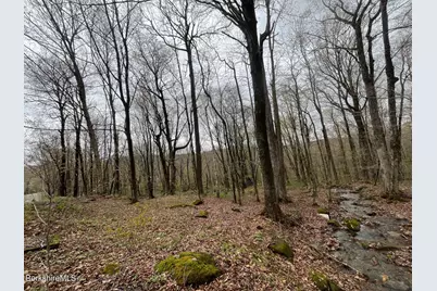 0 Manley Phelps Rd, Monroe, MA 01350 - Photo 10