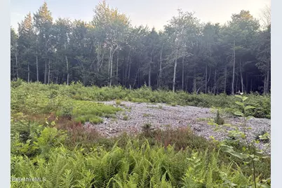 87 Stony Brook Lane Rd, Becket, MA 01223 - Photo 2
