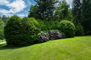 294 Bulkley St, Williamstown, MA 01267 - Photo 66