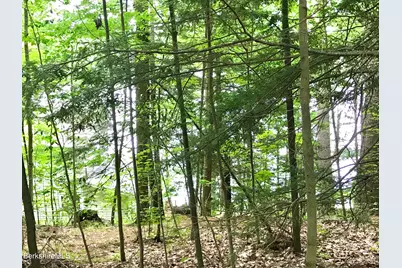 1165 Reservoir Rd, Otis, MA 01029 - Photo 36