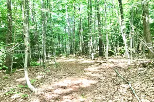 1165 Reservoir Rd, Otis, MA 01029 - Photo 34