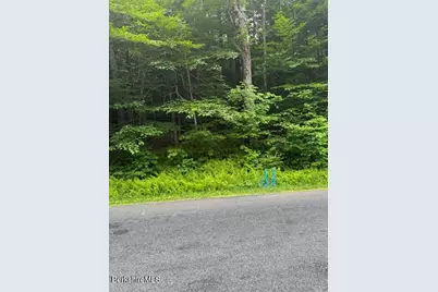 N Central Shaft Rd, Florida, MA 01247 - Photo 2