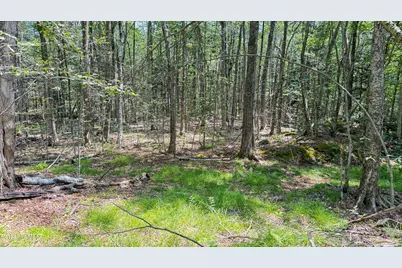258 Captain Whitney Rd, Becket, MA 01223 - Photo 30