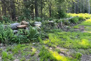 190 Becket Rd, Otis, MA 01253 - Photo 12