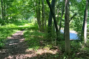 124 Elm St, Williamstown, MA 01267 - Photo 44