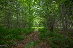 Lot 21 Stoney Brook Rd, Becket, MA 01223 - Photo 1