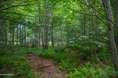 Lot 21 Stoney Brook Rd, Becket, MA 01223 - Photo 2