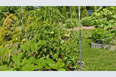 26 Mahkeenac Rd, Stockbridge, MA 01262 - Photo 36