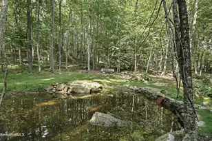 68 Curtin Rd, Peru, MA 01235 - Photo 4