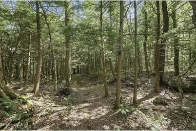 68 Curtin Rd, Peru, MA 01235 - Photo 36