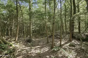 68 Curtin Rd, Peru, MA 01235 - Photo 36