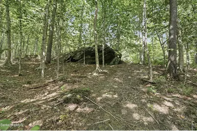 68 Curtin Rd, Peru, MA 01235 - Photo 10