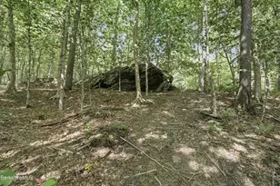 68 Curtin Rd, Peru, MA 01235 - Photo 10