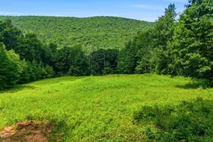 16 Old Tree Farm Rd, Stockbridge, MA 01262 - Photo 46