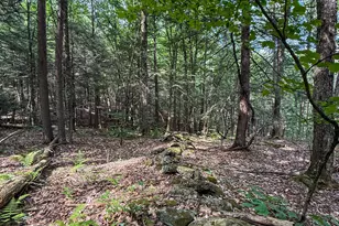Lot 35 Deer Run, Becket, MA 01223 - Photo 1