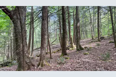 Lot 35 Deer Run, Becket, MA 01223 - Photo 10