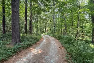 179 Sloan Rd, Williamstown, MA 01267 - Photo 36