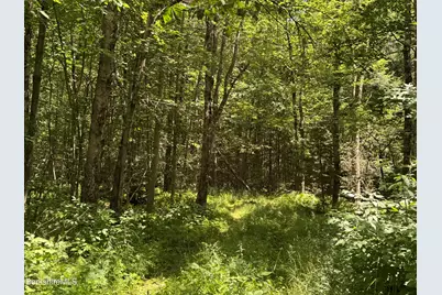 Lot 13 Algerie Rd, Otis, MA 01253 - Photo 10