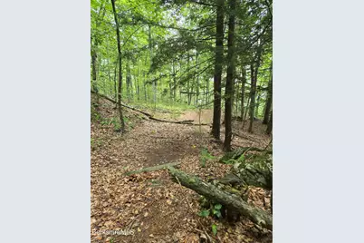 0 Monroe Rd, Florida, MA 01247 - Photo 12