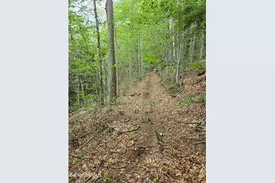 0 Monroe Rd, Florida, MA 01247 - Photo 10