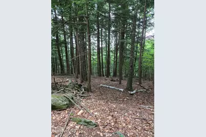 0 Monroe Rd, Florida, MA 01247 - Photo 6