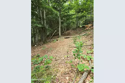 0 Monroe Rd, Florida, MA 01247 - Photo 16
