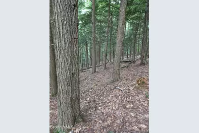 0 Monroe Rd, Florida, MA 01247 - Photo 8