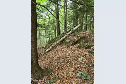 0 Monroe Rd, Florida, MA 01247 - Photo 14