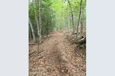 0 Monroe Rd, Florida, MA 01247 - Photo 4
