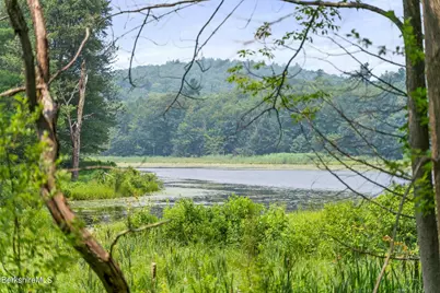 17 S Sandisfield Rd, Sandisfield, MA 01255 - Photo 12
