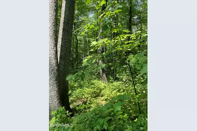 8 Stone Ridge Rd, Stockbridge, MA 01262 - Photo 6