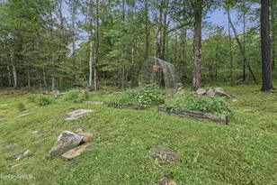 125 Middlefield Rd, Peru, MA 01235 - Photo 48
