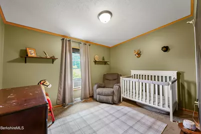 548 Loop Rd, Savoy, MA 01256 - Photo 30