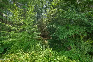 29 Jay Ln, Alford, MA 01230 - Photo 60