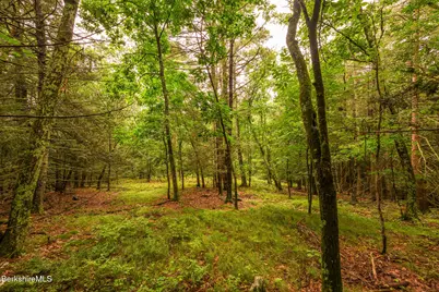 29 Jay Ln, Alford, MA 01230 - Photo 8