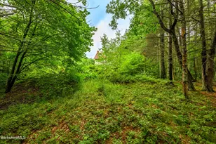 29 Jay Ln, Alford, MA 01230 - Photo 46