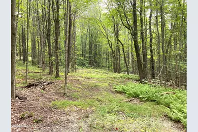 Monroe Rd, Florida, MA 01247 - Photo 2