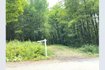 Monroe Rd, Florida, MA 01247 - Photo 6