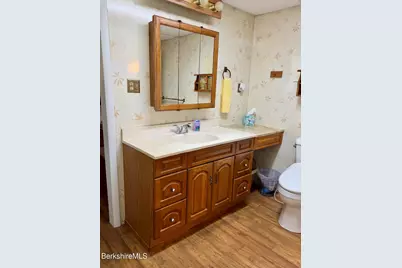 46 Pinehurst Ave, Pittsfield, MA 01201 - Photo 30