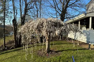 70 Lime St, Adams, MA 01220 - Photo 16