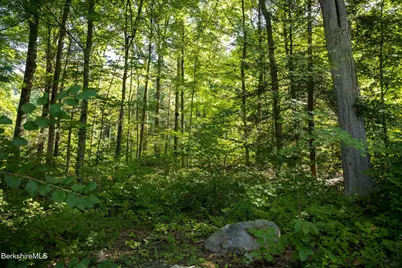 12 Mountain St, Great Barrington, MA 01230 - Photo 40