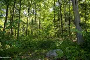 12 Mountain St, Great Barrington, MA 01230 - Photo 40