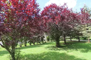 986 Church St, North Adams, MA 01247 - Photo 58