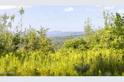 0 Mount Hunger Rd, Monterey, MA 01245 - Photo 2