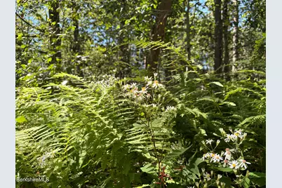 0 Sir Edwards Way, Becket, MA 01223 - Photo 6