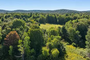 0 Stebbins Rd, Otis, MA 01253 - Photo 1