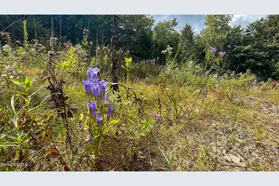 Lot 100 Trail Circle, Becket, MA 01223 - Photo 6