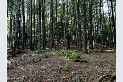 0 Daniels Rd, North Adams, MA 01247 - Photo 6