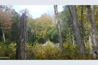 0 Town Hill Rd, Middlefield, MA 01243 - Photo 20