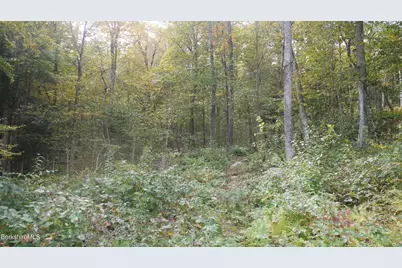 0 Town Hill Rd, Middlefield, MA 01243 - Photo 14